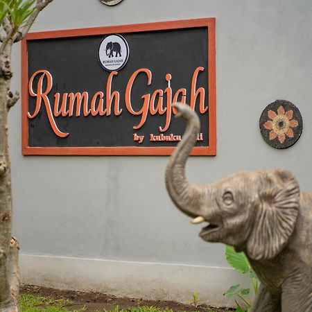 Kubuku Eco Dive Lodge And Yoga Pemuteran Екстериор снимка